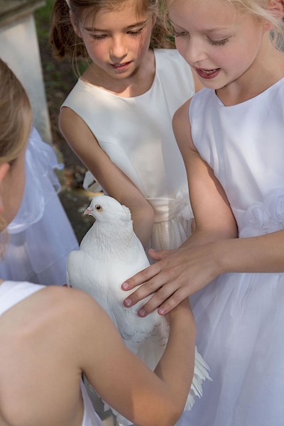 Hochzeit